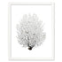 black sea fan white portrait frame